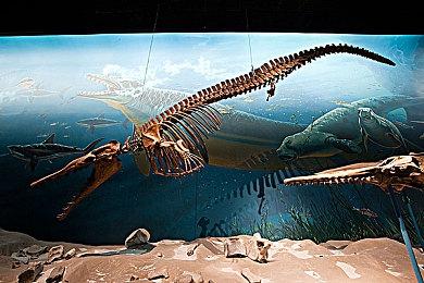 《暗影火炬城》NS版今日开启预购 可享9折优惠